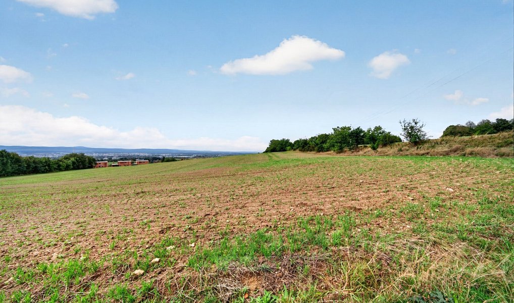 Prodej stavebního pozemku 6 520 m², Rudolfov – náhled fotky 6