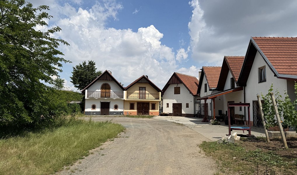 Prodej vinného sklepa Žabčice, Žabčice – náhled fotky 2