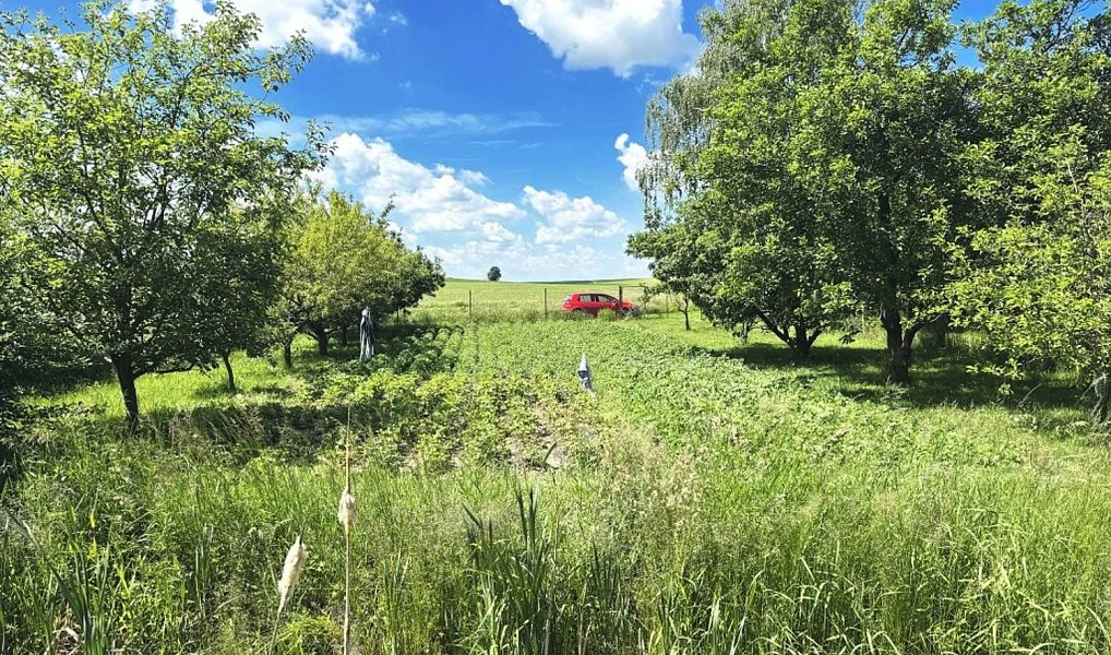 Prodej zahrady 1 306 m², Dolní Bezděkov – náhled fotky 4