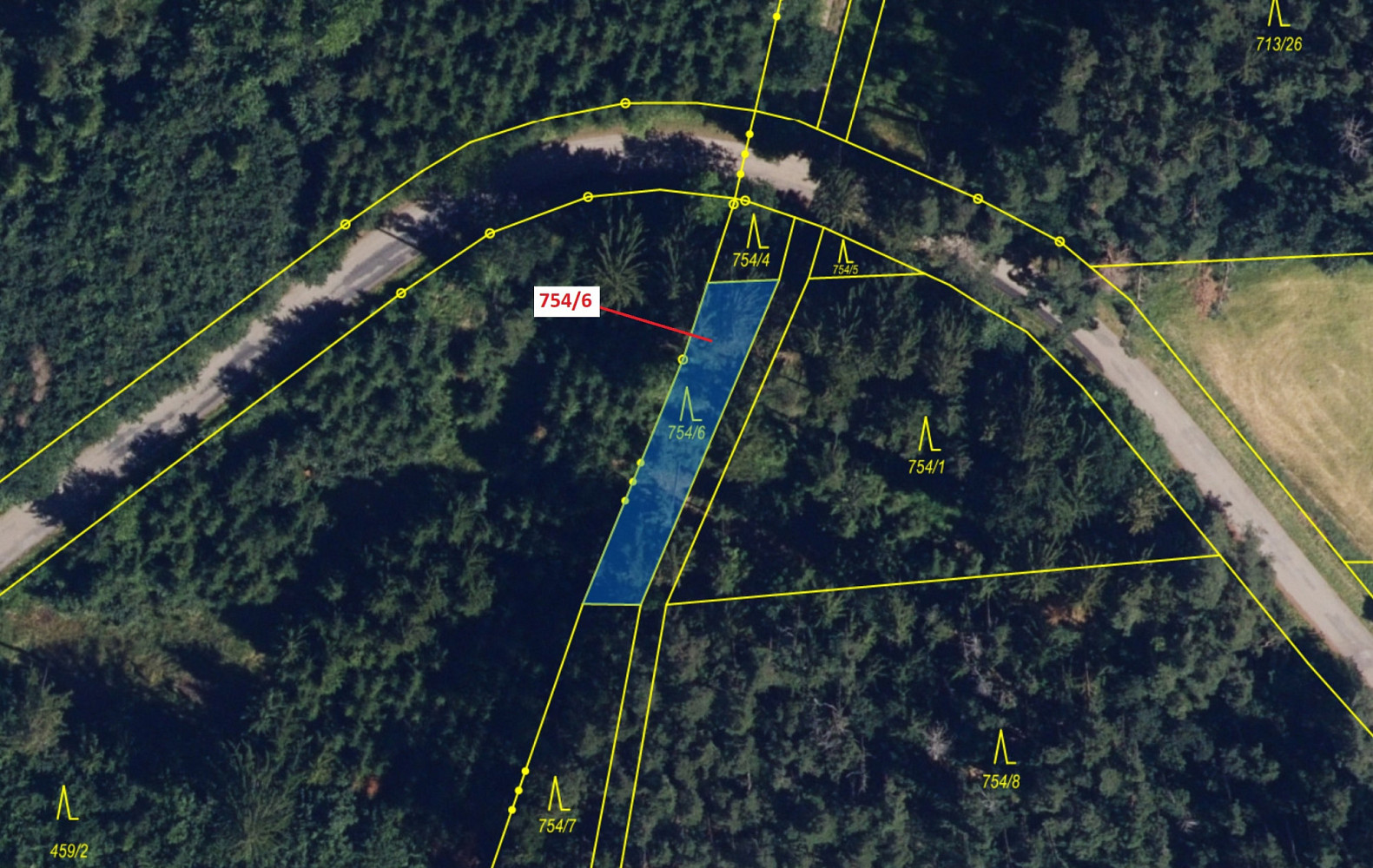 Dražba lesa 294 m² — photo 3