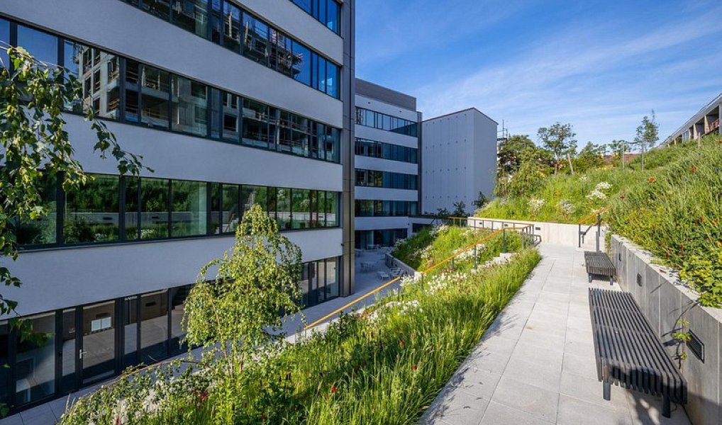 Pronájem kanceláře 60 m², Praha – náhled fotky 4