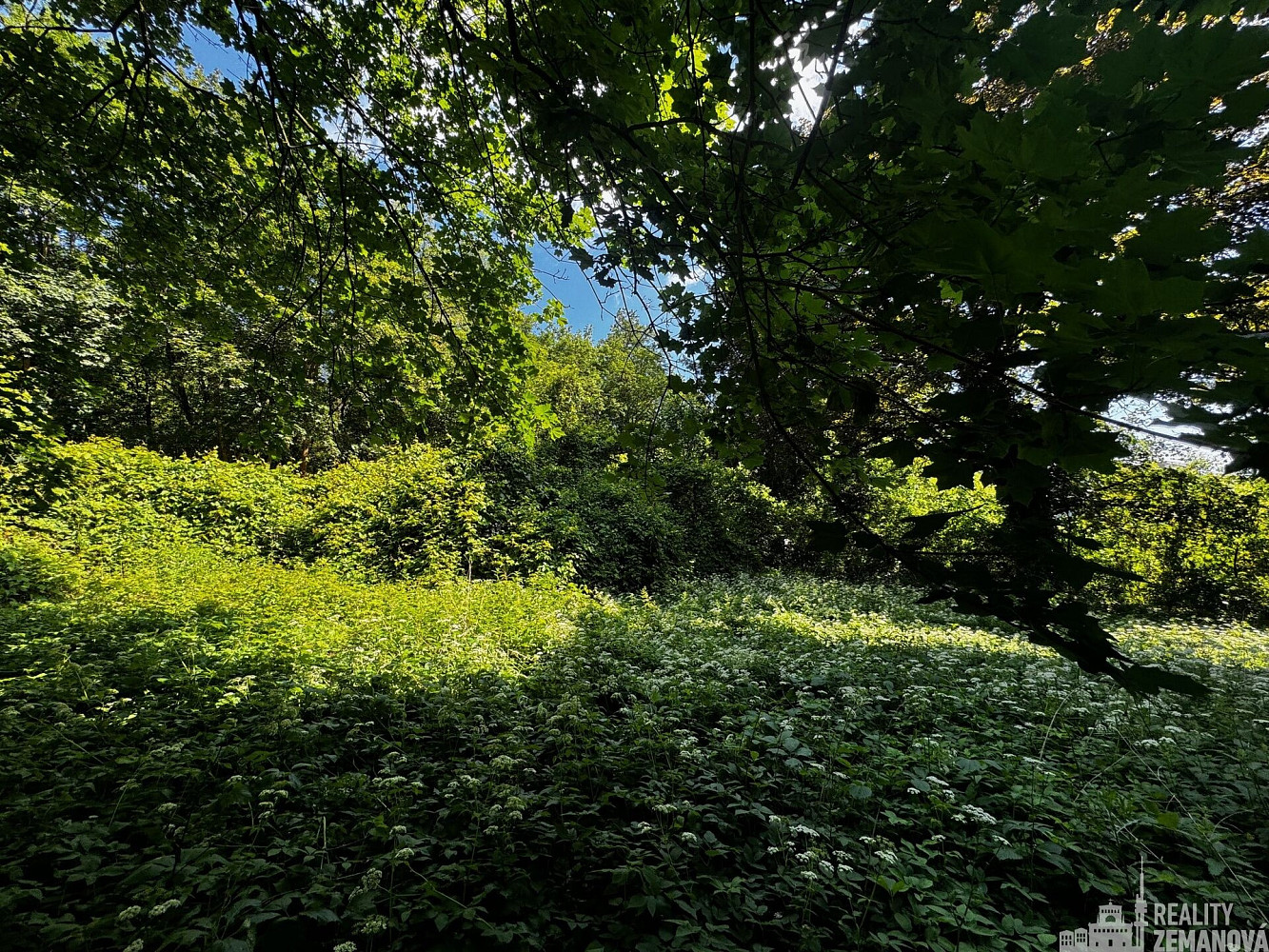Prodej stavebního pozemku 7 834 m²