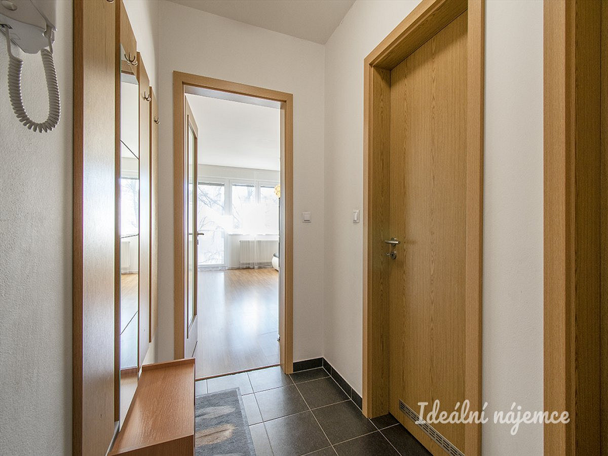 Pronájem bytu 1+kk 42 m² – fotografie 4