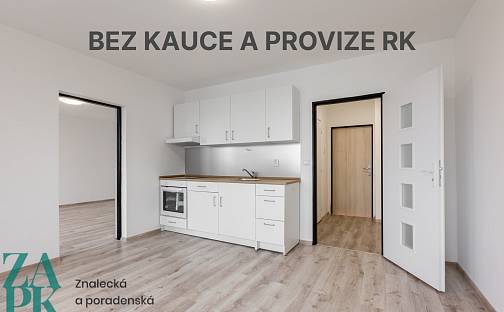 Pronájem bytu 1+1 47 m², Purkyňova, Ústí nad Labem - Střekov