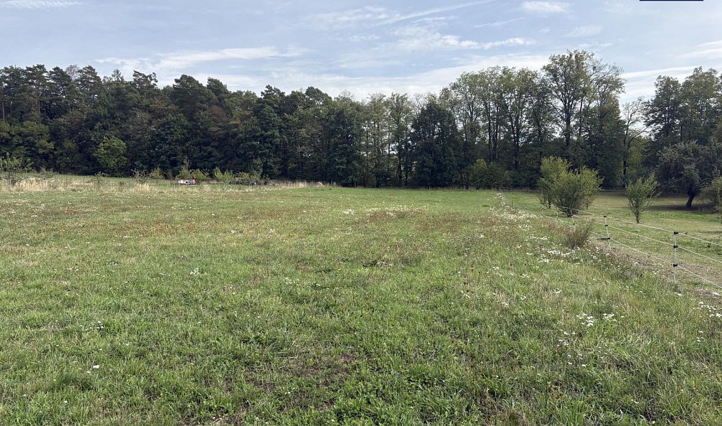 Prodej pole 1 815 m², Velký Újezd – náhled fotky 3