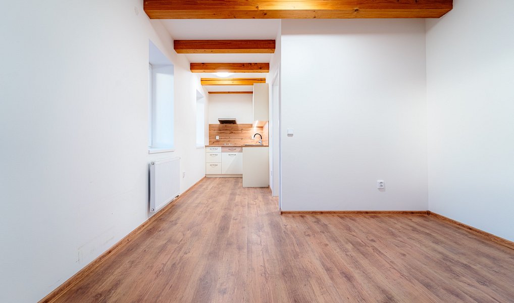 Pronájem bytu 1+kk 25 m², Štěpánov – náhled fotky 3