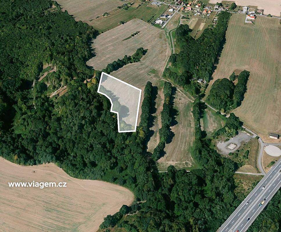 Prodej pole 3 303 m² – fotografie 2