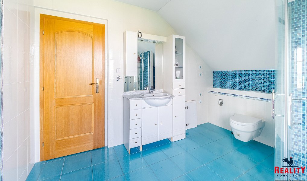 Prodej domu 313 m² s pozemkem 1 106 m², Tábor – náhled fotky 25