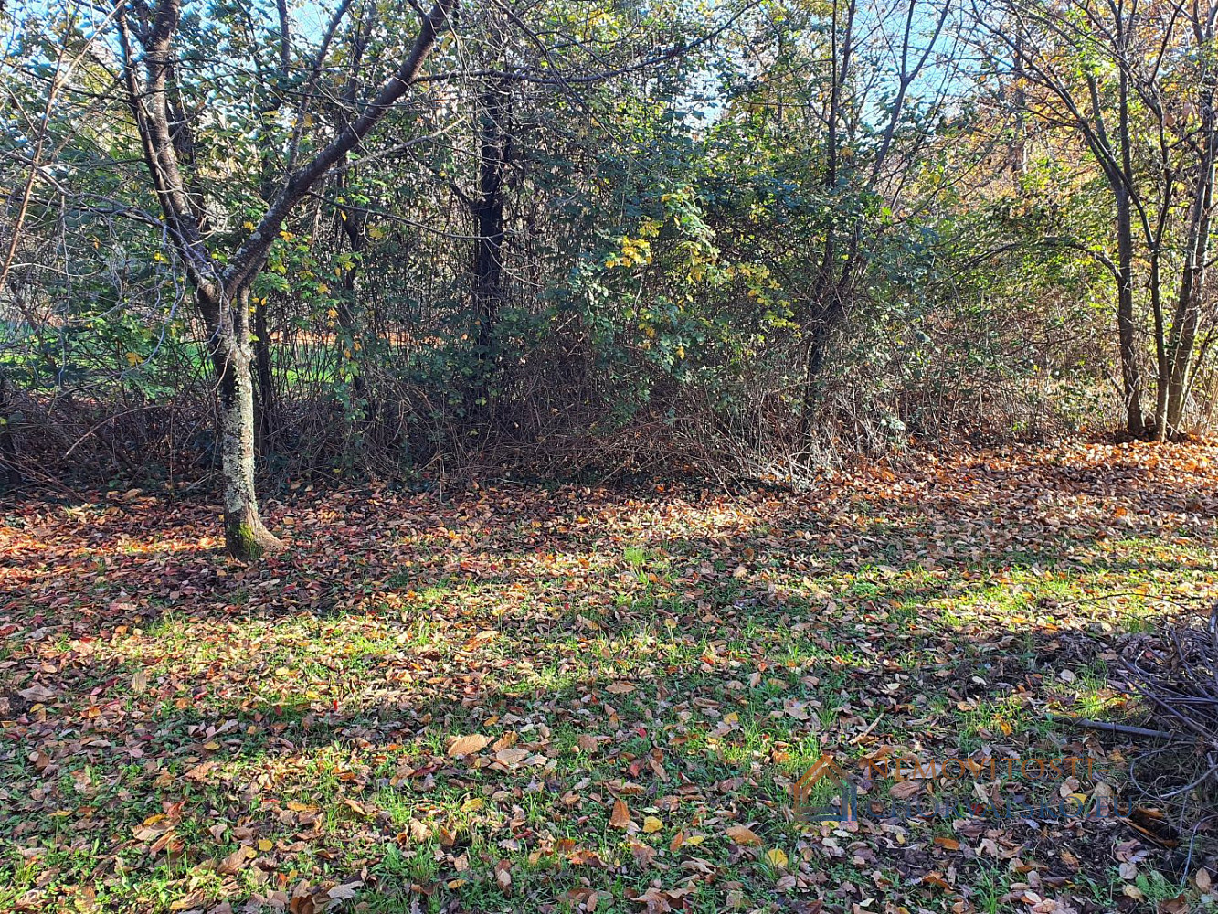 Prodej stavebního pozemku 668 m² - Vista 5