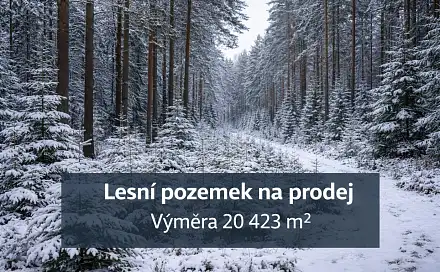 Prodej lesa 20 423 m², Arneštovice, okres Pelhřimov