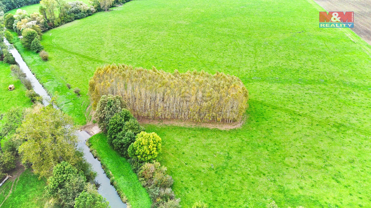 Prodej lesa 1 461 m² – fotografie 5