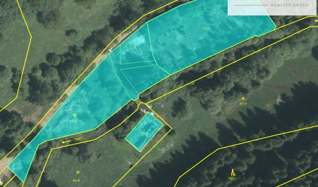 Prodej komerčního pozemku 6 185 m², Abertamy – náhled fotky 3