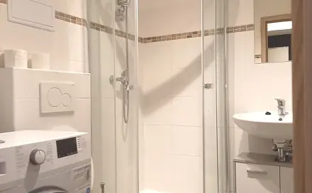 Pronájem bytu 1+kk 23 m², Vlhká, Brno - Zábrdovice