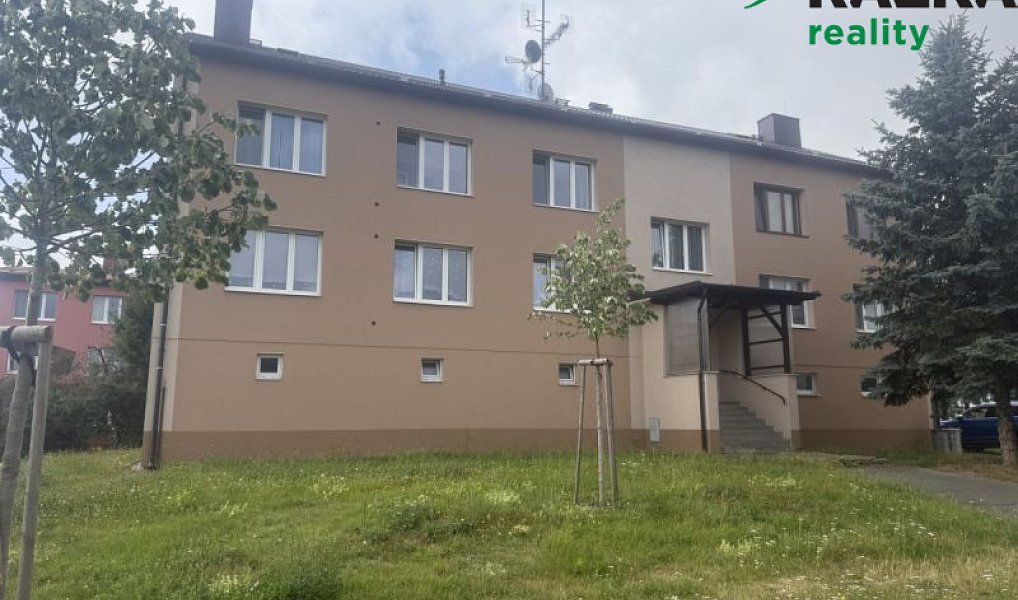 Prodej bytu 2+1 59 m², Planá – náhled fotky 11