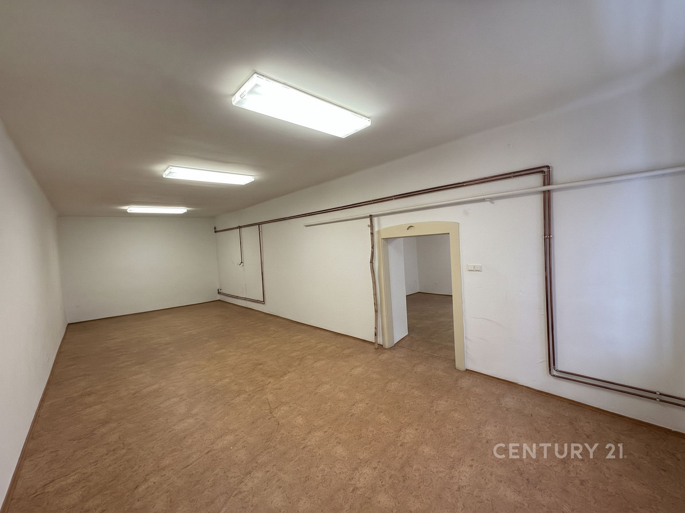 Pronájem komerčního objektu (jiného typu) 428 m² – fotografie 5