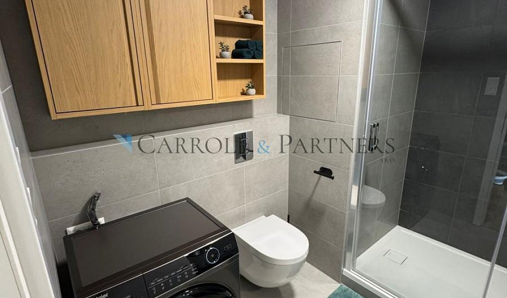 Pronájem bytu 1+kk 40 m², Ostrava – náhled fotky 7