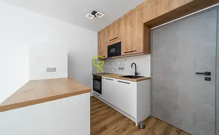 Pronájem bytu 1+kk 30 m²