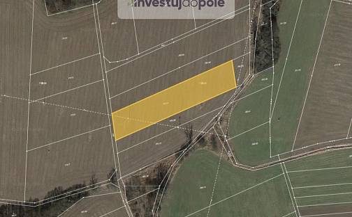 Prodej pole 5 115 m², Bohušovice nad Ohří - Hrdly, okres Litoměřice