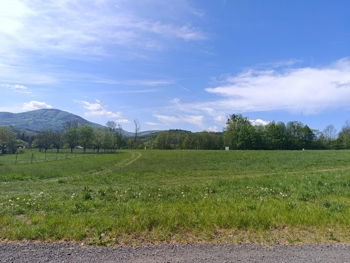 Prodej komerčního pozemku 2 338 m² – fotografie 4