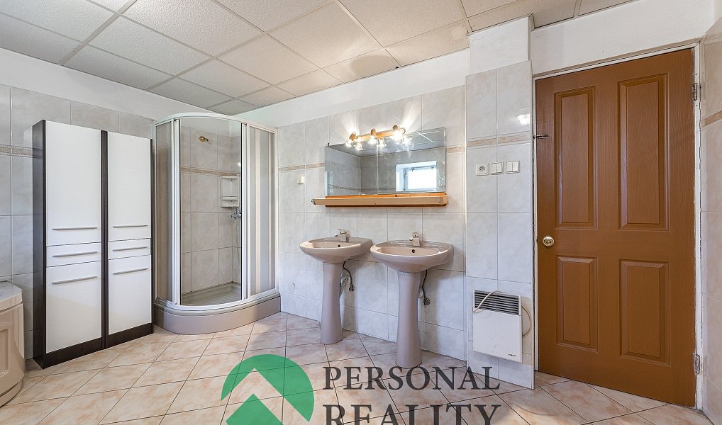 Prodej domu 460 m² s pozemkem 2 975 m², Loket – náhled fotky 11
