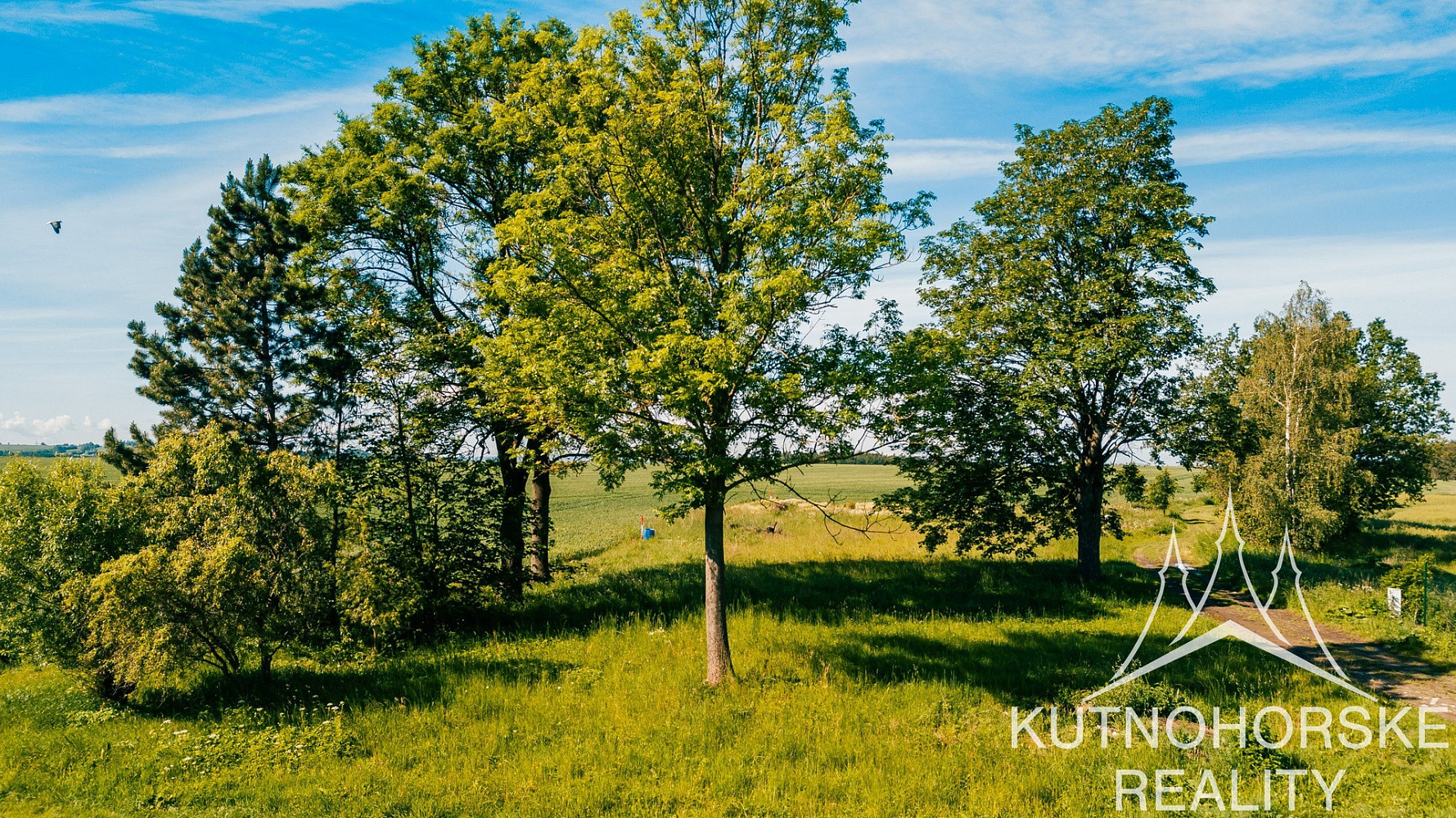 Prodej stavebního pozemku 991 m²