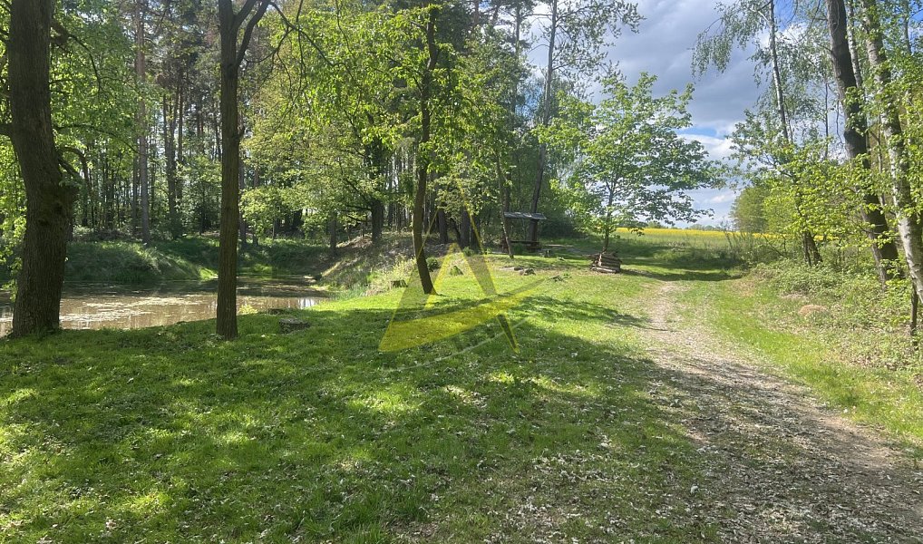 Prodej chaty/chalupy 49 m² s pozemkem 747 m², Ledenice – náhled fotky 12