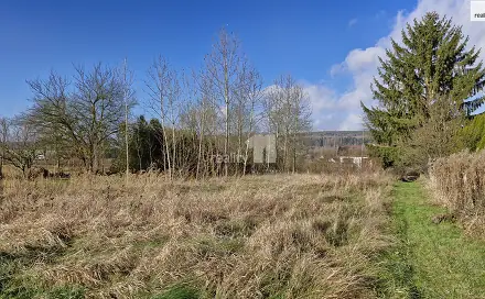 Prodej louky 1 669 m², Sedmidomky, Dalovice - Vysoká, okres Karlovy Vary