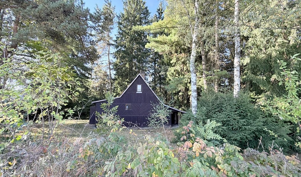 Prodej chaty/chalupy 53 m² s pozemkem 366 m², Borová – náhled fotky 9