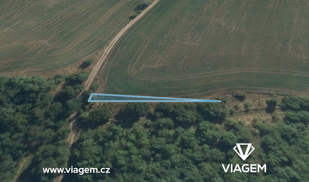 Prodej pole 162 m², Máslovice – náhled fotky 2