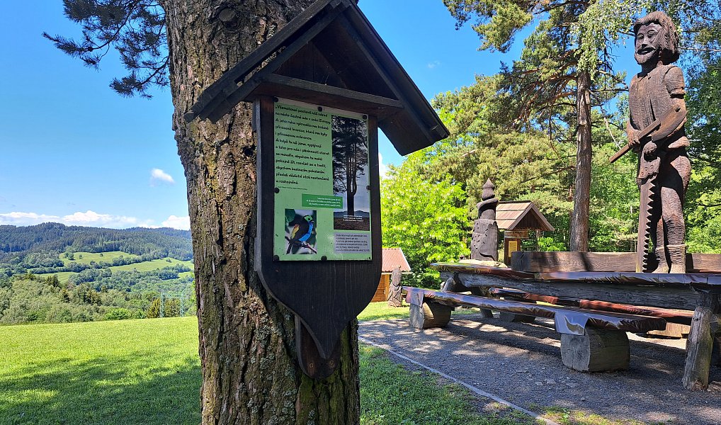 Prodej domu 90 m² s pozemkem 900 m², Valašská Senice – náhled fotky 17