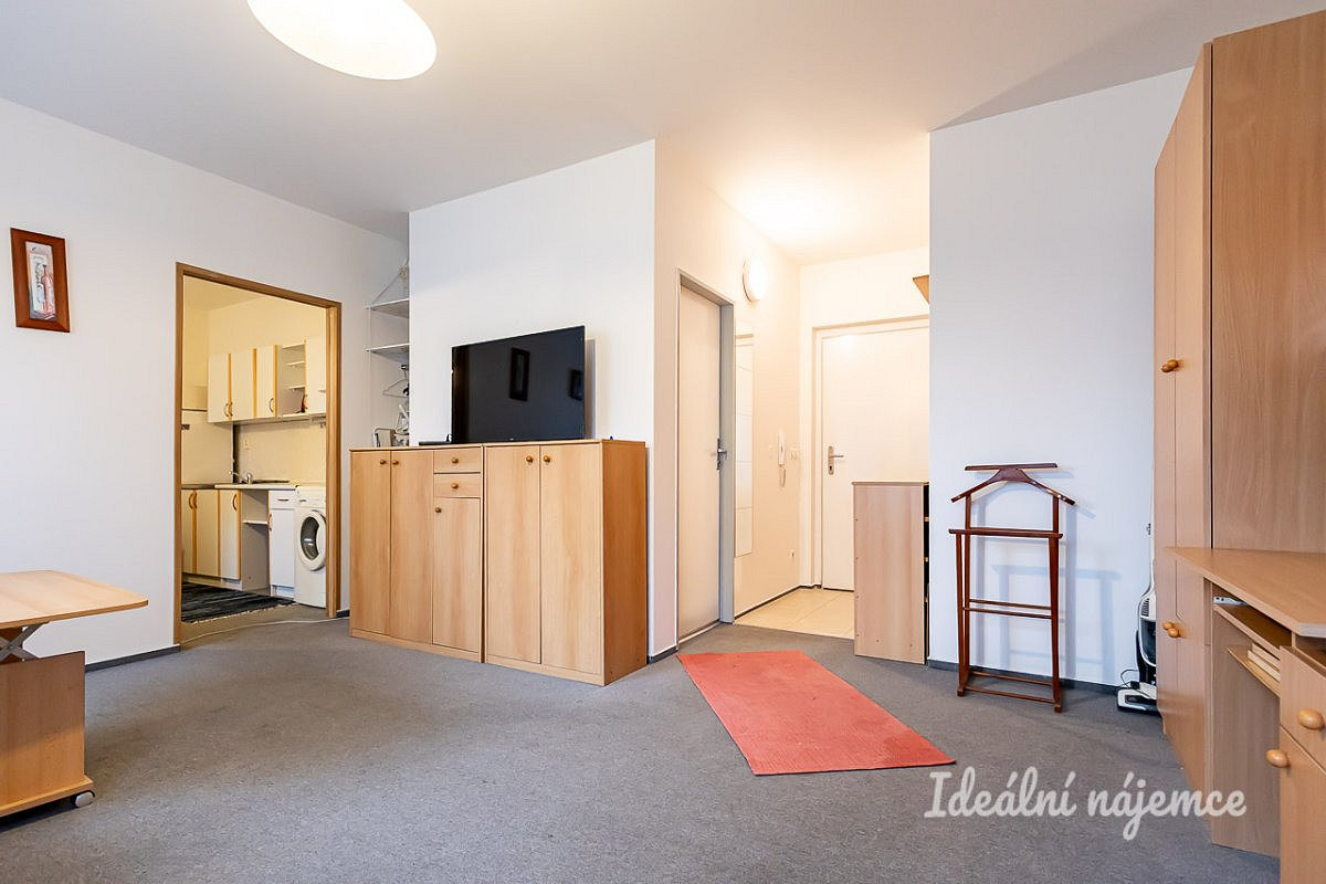 Pronájem bytu 1+1 39 m² – fotografie 4