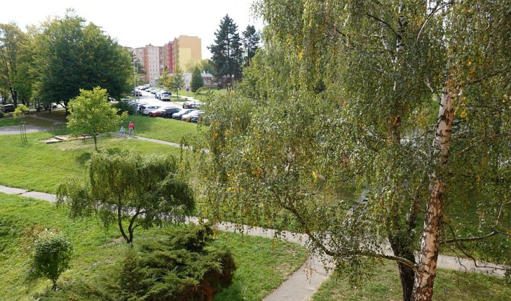 Prodej bytu 3+1 63 m², Ostrava – náhled fotky 33