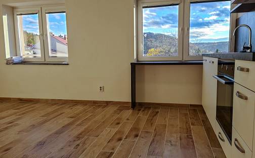 Pronájem bytu 2+kk 51 m², Horova, Brno - Žabovřesky