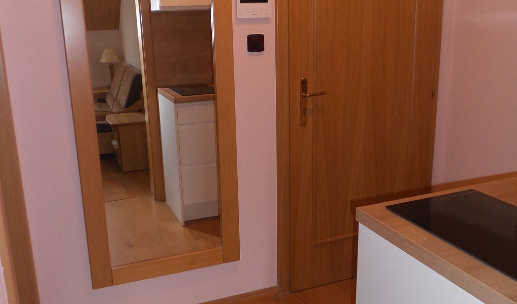 Pronájem bytu 1+kk 23 m², Karlovy Vary – náhled fotky 7