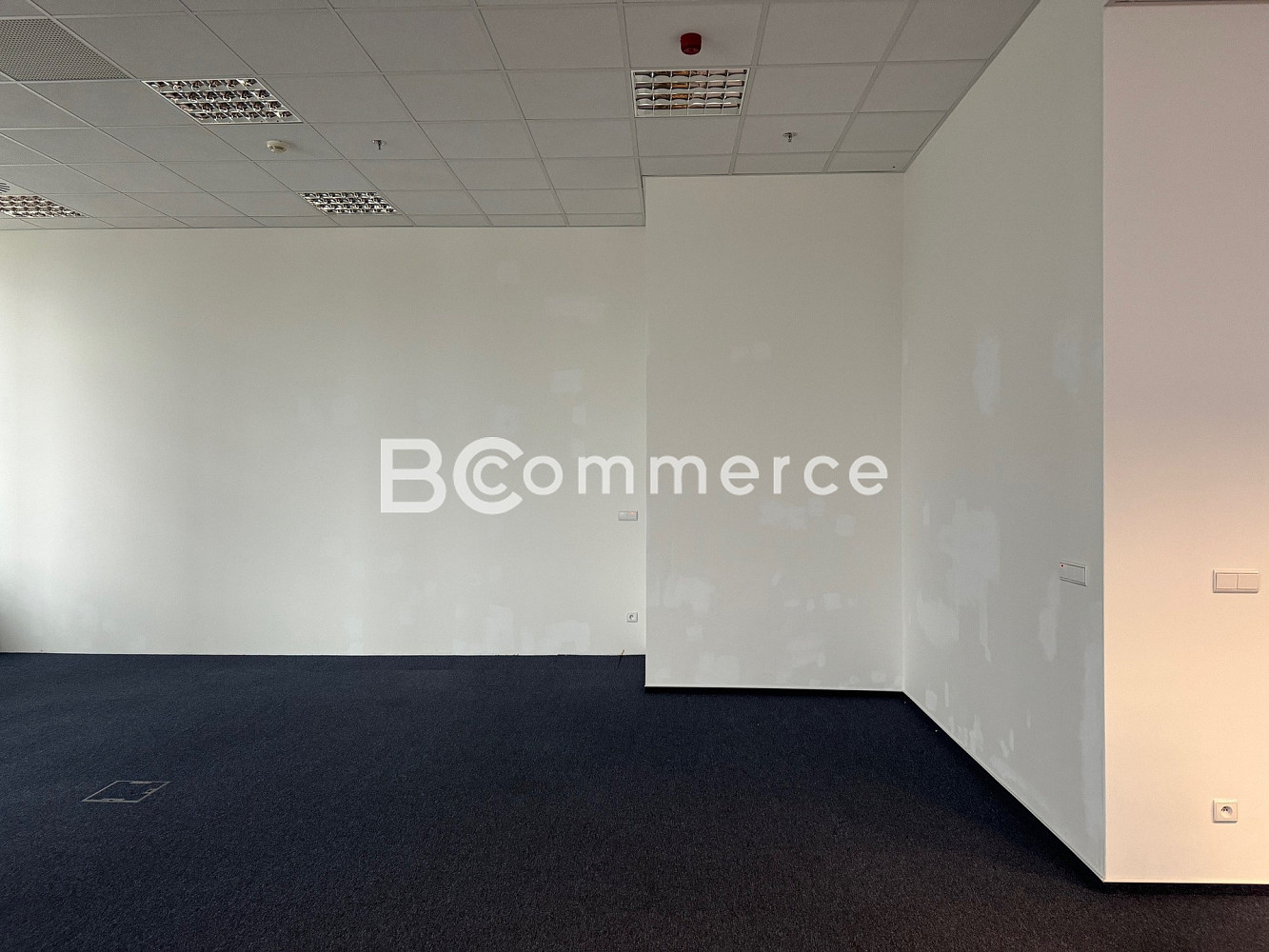Pronájem kanceláře 780 m² – fotografie 5