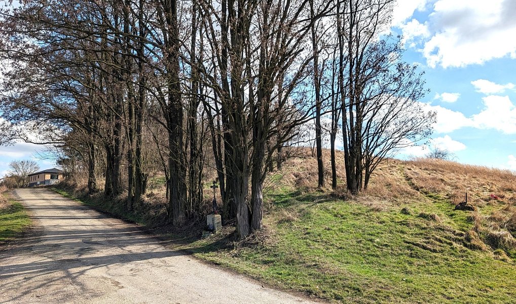 Prodej stavebního pozemku 898 m², Bušovice – náhled fotky 6
