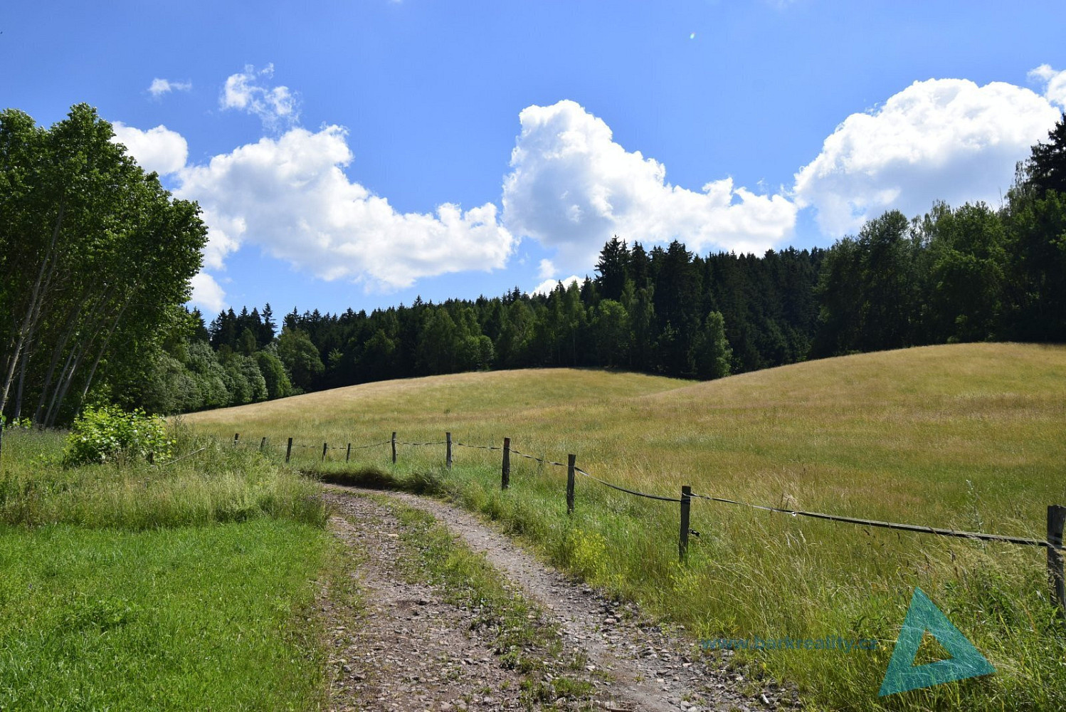 Prodej louky 24 781 m² — photo 5