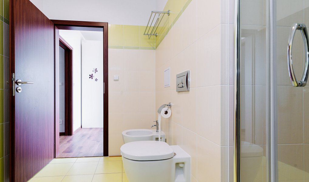 Prodej bytu 4+kk 155 m², Karlovy Vary – náhled fotky 15
