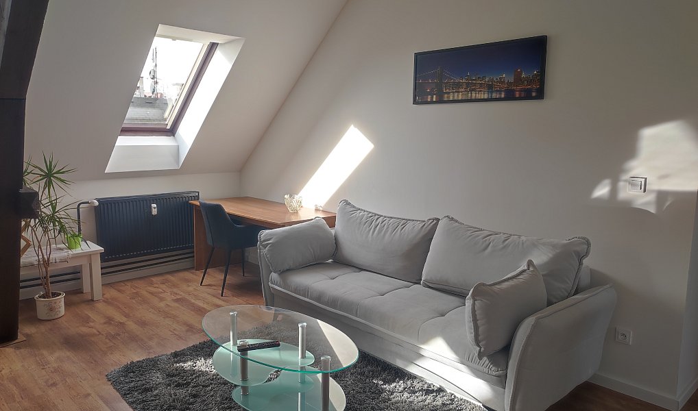 Prodej bytu 3+1 87 m², Cheb – fotka 1 z 20
