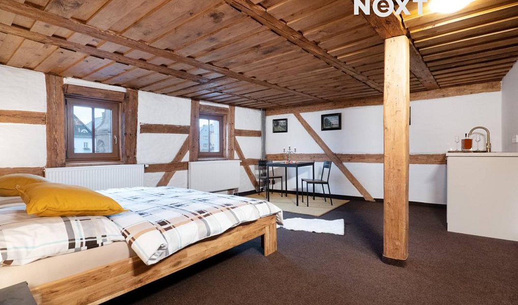 Prodej domu 600 m² s pozemkem 452 m², Teplá – náhled fotky 16