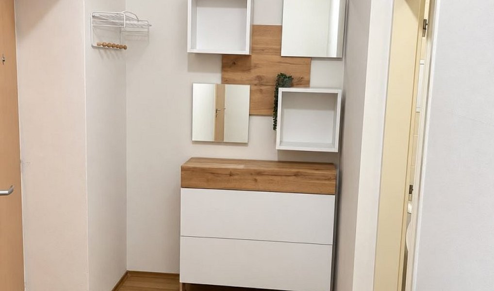 Pronájem bytu 2+kk 46 m², Ostrava – náhled fotky 4