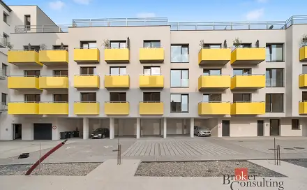 Pronájem bytu 1+kk 26 m², Bratislavská, Brno - Zábrdovice
