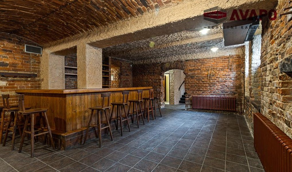 Prodej obchodních prostor 166 m², Opava – fotka 1 z 17