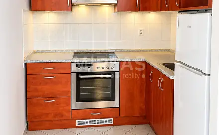 Pronájem bytu 1+kk 35 m², Višňová, Milovice - Mladá, okres Nymburk