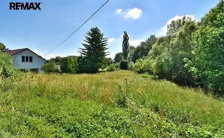Prodej louky 1 214 m², České Meziříčí, okres Rychnov nad Kněžnou