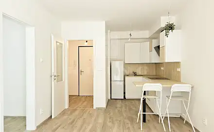 Pronájem bytu 2+kk 37 m², Líšeňská, Brno - Židenice