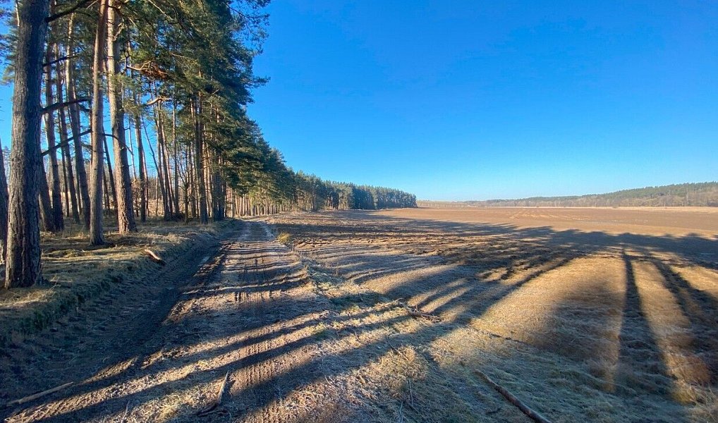 Prodej pozemku 3 847 m², Kočov – náhled fotky 3