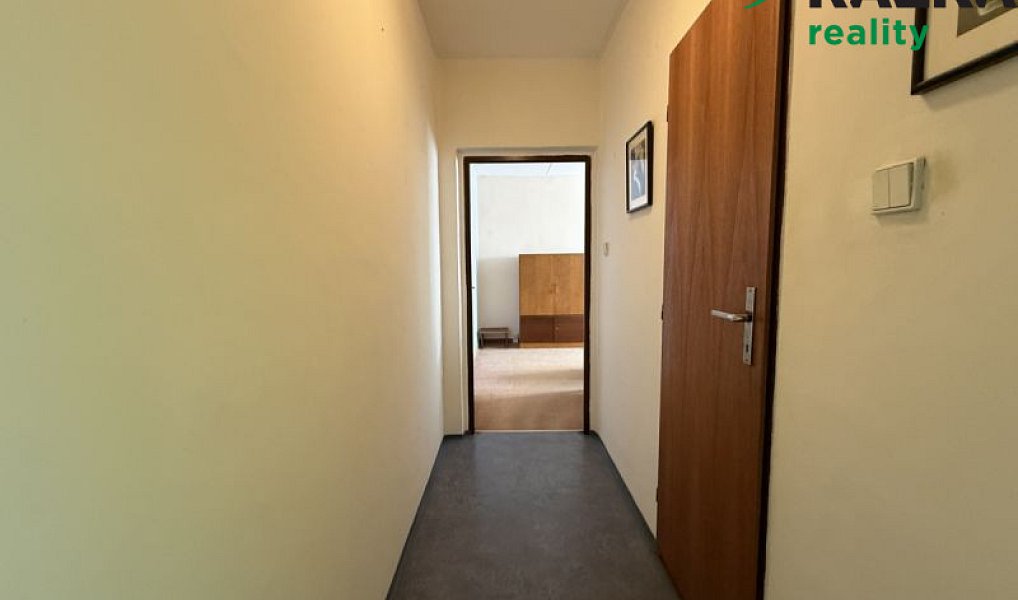 Prodej bytu 2+1 59 m², Planá – náhled fotky 9