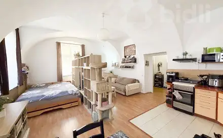 Prodej bytu 1+kk 63 m², Komenského, Terezín, okres Litoměřice