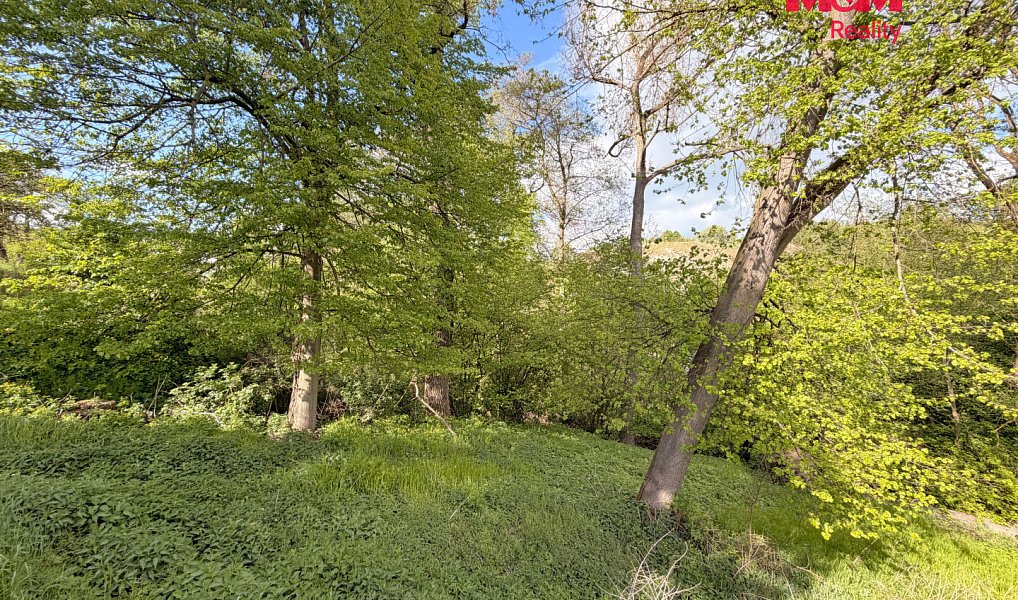 Prodej stavebního pozemku 2 790 m², Milešov – náhled fotky 9